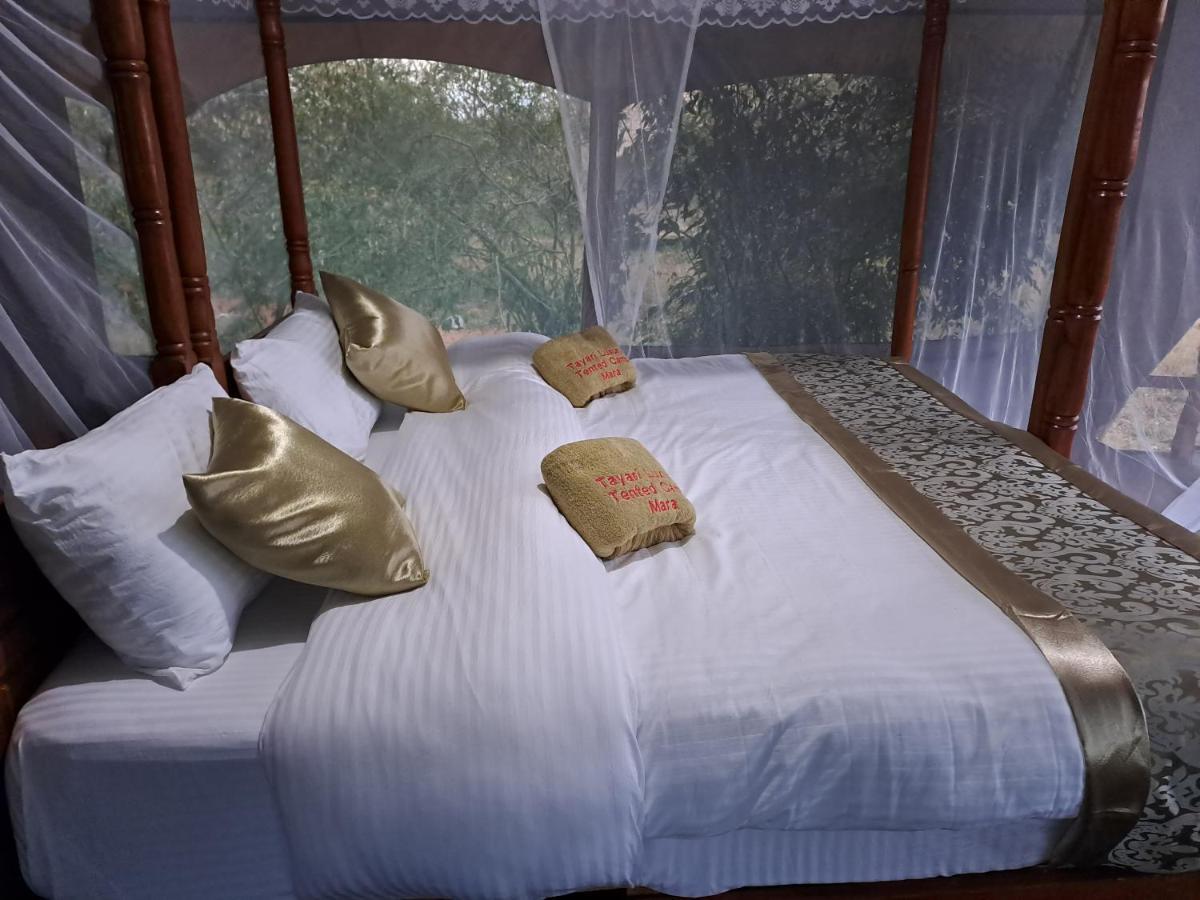 Tayari Luxury Tented Camp - Mara Sekenani Exterior photo